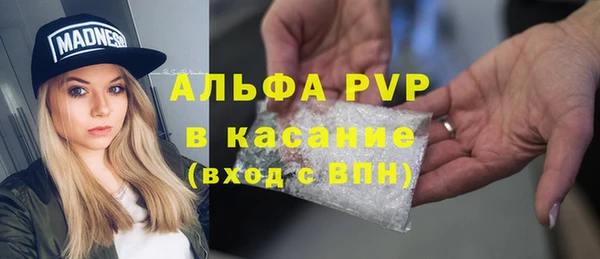 твердый Каменногорск