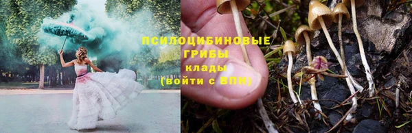 прущий лед Карталы